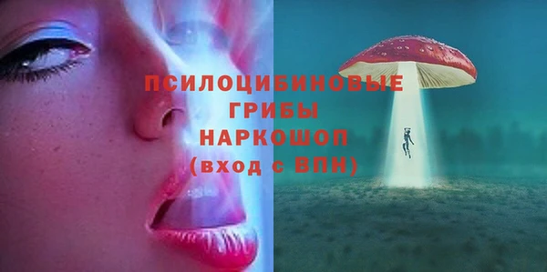 PSILOCYBIN Бронницы