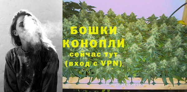 спайс Бородино