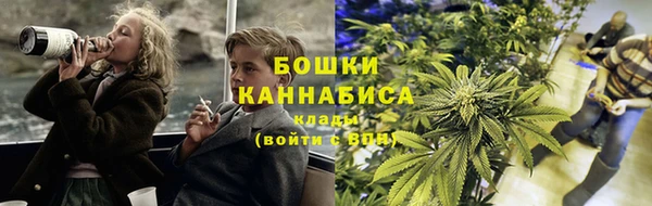 PSILOCYBIN Бронницы
