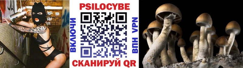 Купить где  Алушта  Галлюциногенные грибы GOLDEN TEACHER 